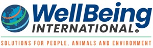BEINGINTERNATIONAL.RU