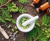CARBONEUM.RU
