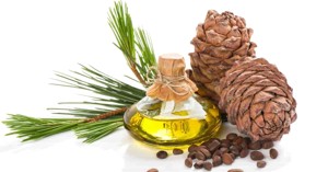 CEDAROIL.RU