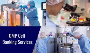 CELLBANKING.RU