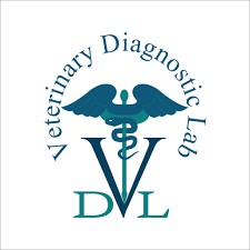 DVL.RU