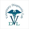 DVL.RU